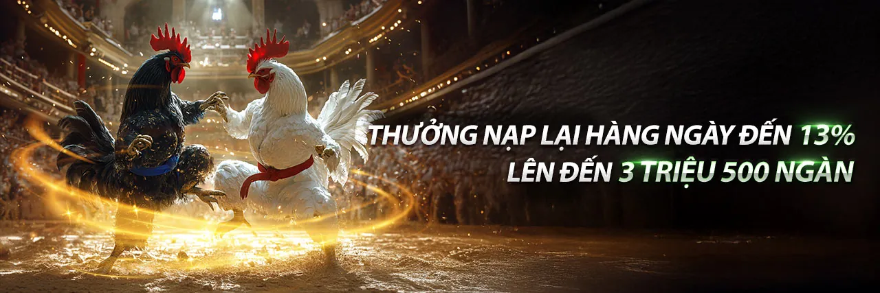 Tin tức 123vn mới nhất về cá cược và giải trí