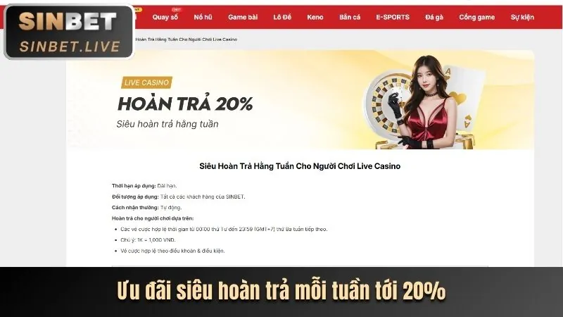 Các giá trị cốt lõi và cam kết của 123vn